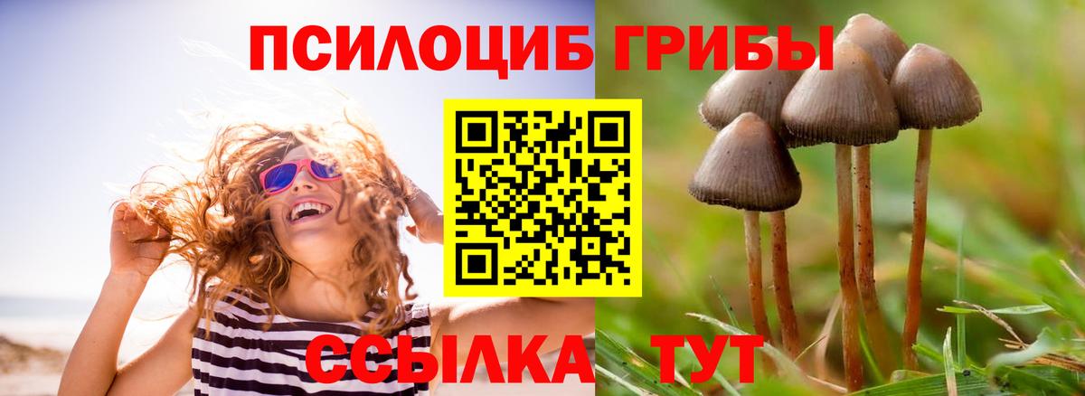 Алатырь  Псилоцибиновые грибы Psilocybe  Псилоцибиновые грибы GOLDEN TEACHER  Вход с VPN 